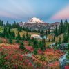 fall colors on a meadow with a pond in front of snow-capped mountain