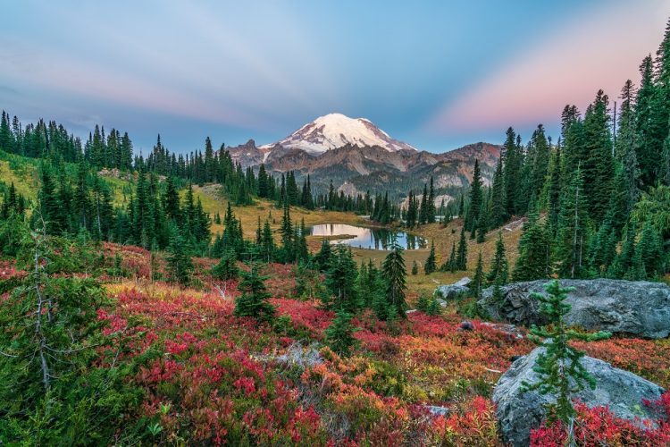 fall colors on a meadow with a pond in front of snow-capped mountain